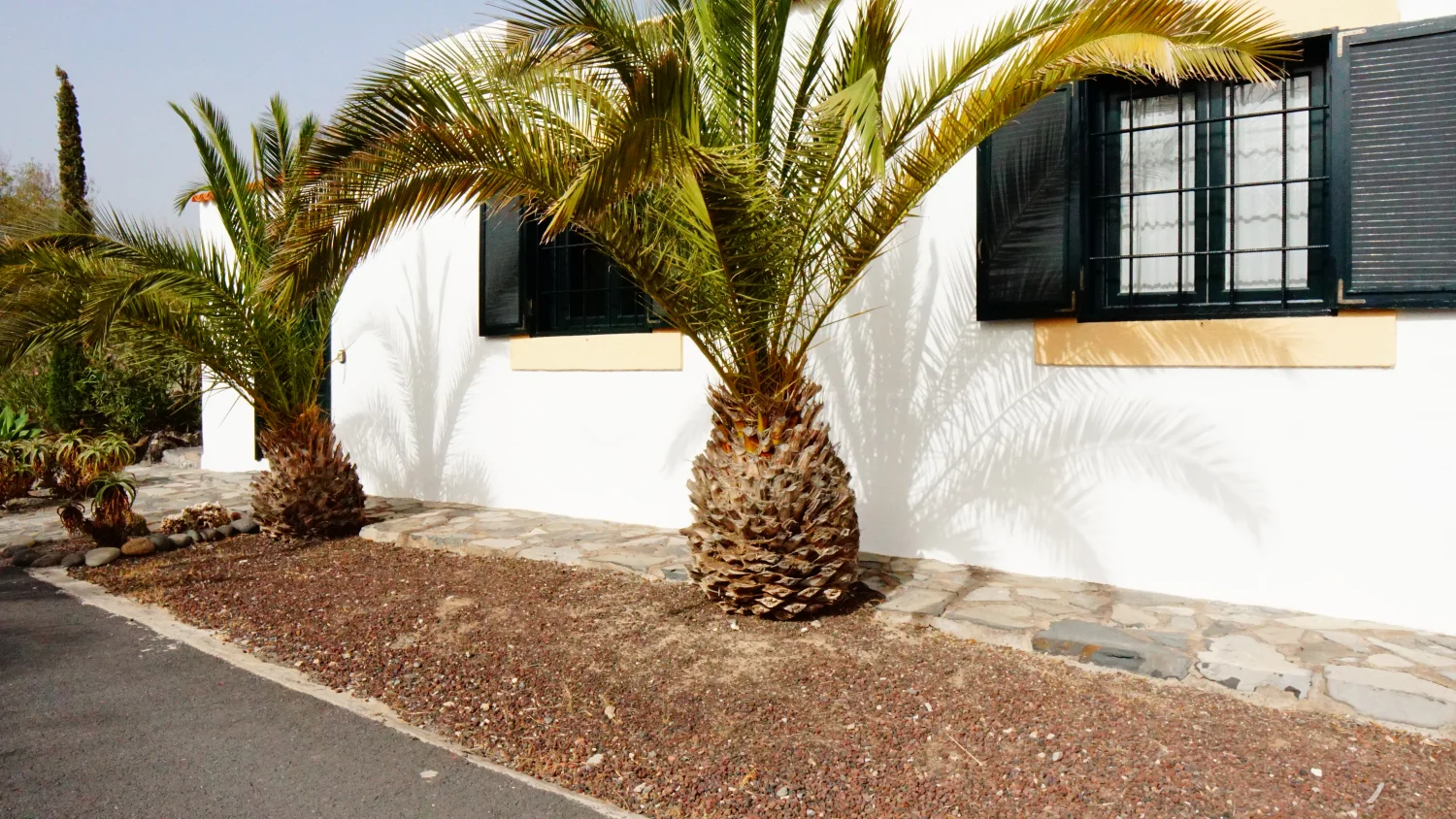 Las Palmeras